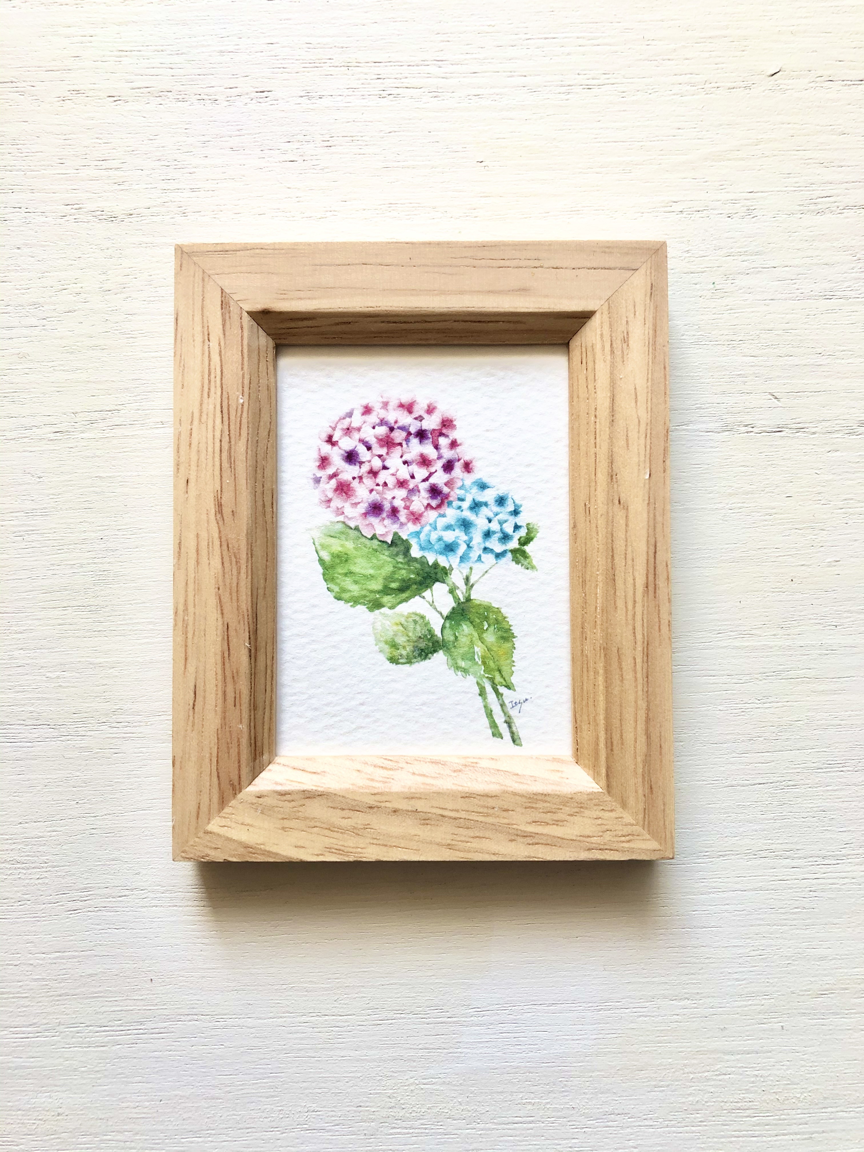 紫陽花　春水作　水彩画　額入