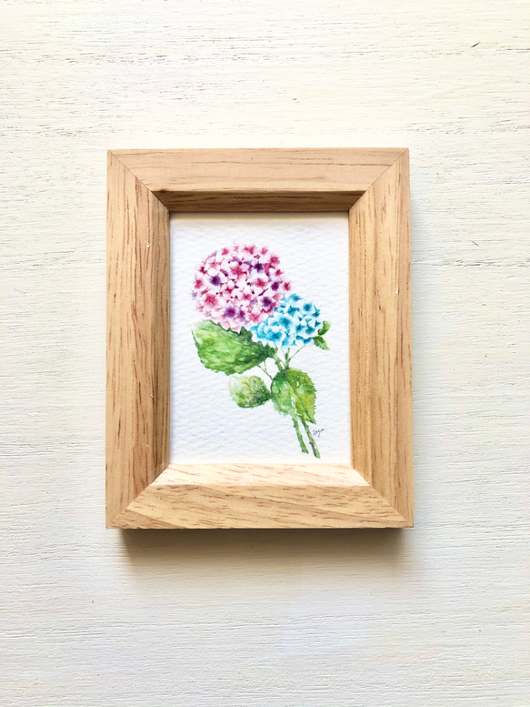 紫陽花」水彩画イラスト ミニ額 あじさい アジサイ プチギフト