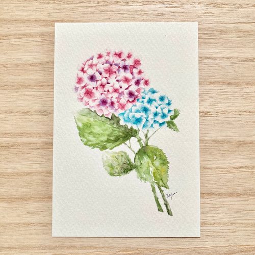 3枚セット「紫陽花」水彩画イラストポストカード アジサイ 3枚セット「紫陽花」水彩画イラストポストカード アジサイ