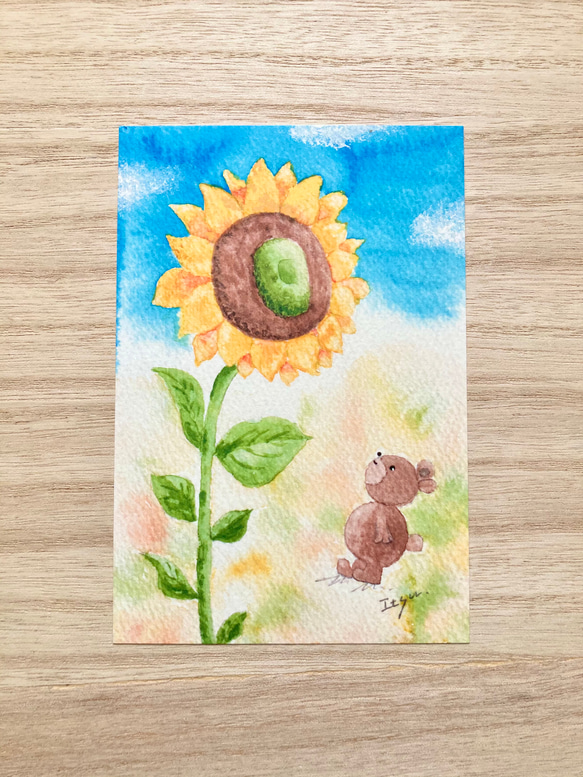 3枚セット「大きなひまわり」水彩画イラストポストカード　ヒマワリ　暑中見舞い　夏　残暑見舞い　クマ　くま　花　フラワー 1枚目の画像