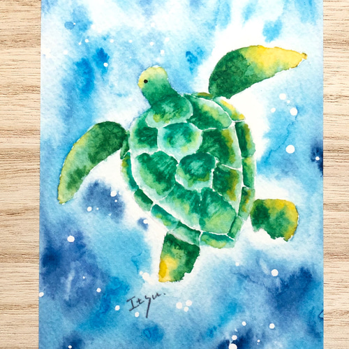 3枚セット「幸せを運ぶウミガメ」水彩画イラストポストカード 暑中