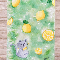 3枚セット「すっぱいレモン」水彩画イラストポストカード　猫　ネコ　ねこ　夏　果物　フルーツ　暑中見舞い　残暑見舞い　 3枚目の画像