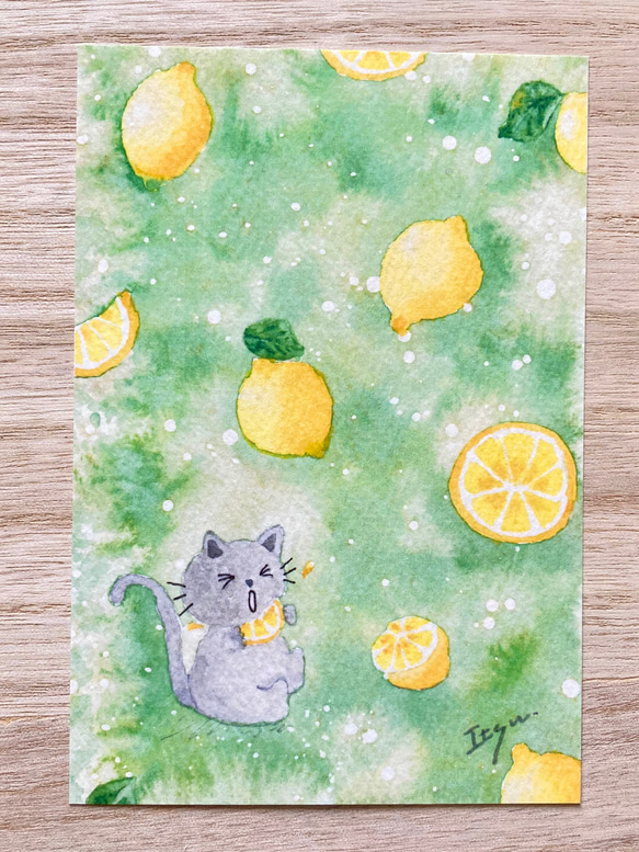 3枚セット「すっぱいレモン」水彩画イラストポストカード　猫　ネコ　ねこ　夏　果物　フルーツ　暑中見舞い　残暑見舞い　 3枚目の画像