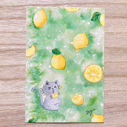 3枚セット「すっぱいレモン」水彩画イラストポストカード　猫　ネコ　ねこ　夏　果物　フルーツ　暑中見舞い　残暑見舞い　 1枚目の画像