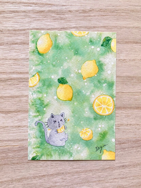 3枚セット「すっぱいレモン」水彩画イラストポストカード　猫　ネコ　ねこ　夏　果物　フルーツ　暑中見舞い　残暑見舞い　 1枚目の画像