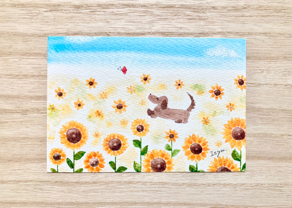 3枚セット「ダックスちゃんとひまわり」水彩画イラストポストカード　ダックスフント　犬　夏ヒマワリ　ペットと暮らす2021 1枚目の画像
