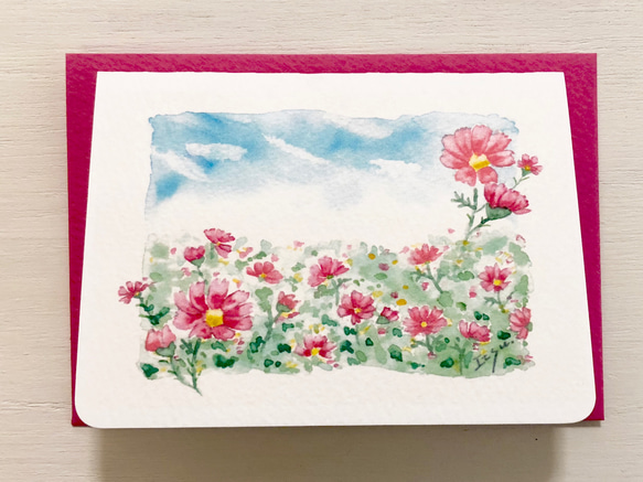 2枚セット「秋空のコスモス畑」水彩画イラスト ミニカード 秋 花