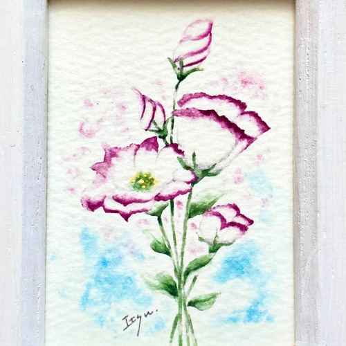 トルコ桔梗 油絵 油彩 絵画 花の絵 原画 F3号 絵画 - 絵画