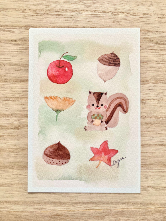 3枚セット「りすさん」水彩画イラストポストカード 秋 メッセージ  