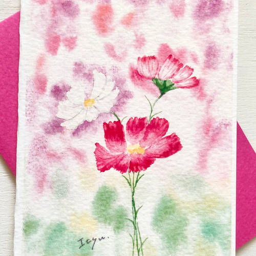 2枚セット「可憐なコスモス」水彩画イラスト ミニカード 秋 秋桜
