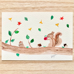 3枚セット「りんごが好きなリス」水彩画イラストポストカード　りす　秋　紅葉　リンゴ 1枚目の画像