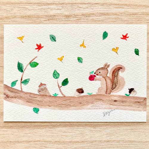 3枚セット「りんごが好きなリス」水彩画イラストポストカード りす 秋