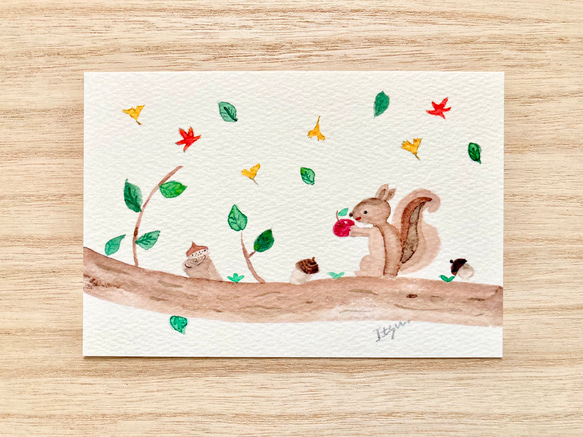 3枚セット「りんごが好きなリス」水彩画イラストポストカード　りす　秋　紅葉　リンゴ 1枚目の画像