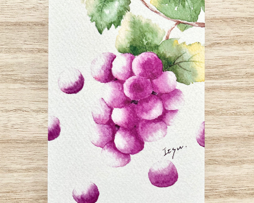 水彩画のぶどうのイラスト素材 [47083736] - PIXTA