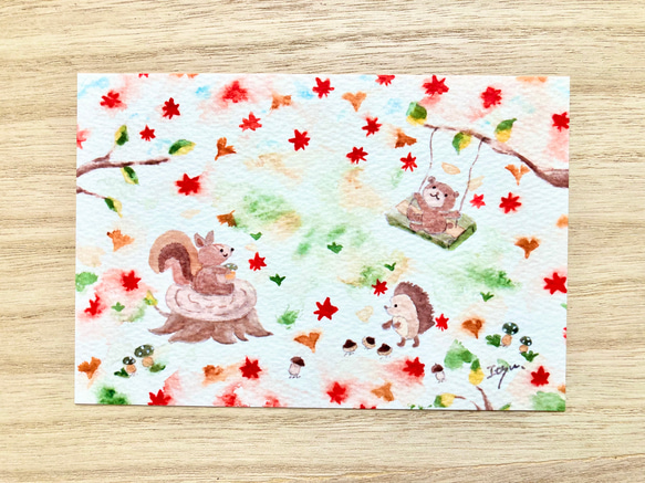 透明水彩画　3枚セット「秋のピクニック」イラストポストカード　クマ　リス　ハリネズミ　紅葉　秋 1枚目の画像