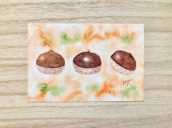 透明水彩画3枚セット「栗ころりん」イラストポストカード クリ くり 秋