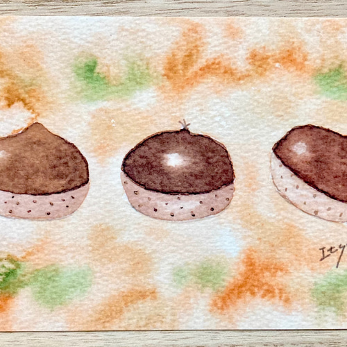 透明水彩画3枚セット「栗ころりん」イラストポストカード クリ くり 秋