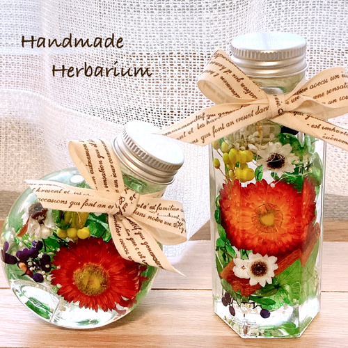 送料無料♡botanical 2本セット ハーバリウム・植物標本 cherie* 通販  