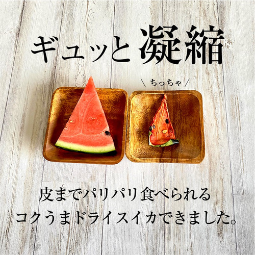 2024年産/種ごと皮ごとまるごとスイカ｜砂糖不使用 ドライ