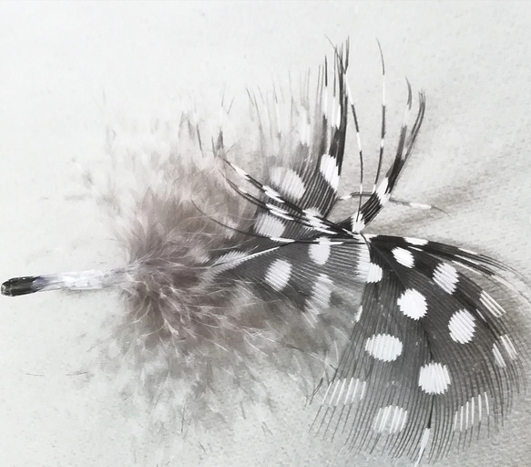 【ほろほろ鳥】羽毛とワイヤーの鳥モビール ドット柄 北欧 ホロホロチョウ シンプル フェザー インテリア 小鳥 3枚目の画像