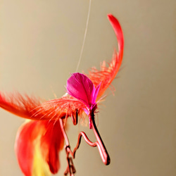 【フェニックス】火の鳥 不死鳥 夏 霊鳥 朱雀 瑞鳥 赤い鳥 モビール サンキャッチャー フェザー 炎 煉獄 焔 灼熱 5枚目の画像