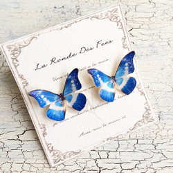 本革蝶のポストピアス　ブルー×白模様 1枚目の画像