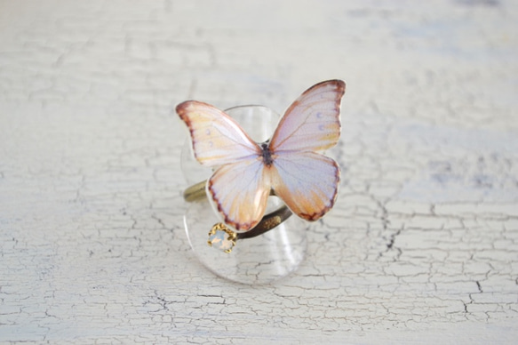 小さな森に住む蝶のリング　(白) 1枚目の画像