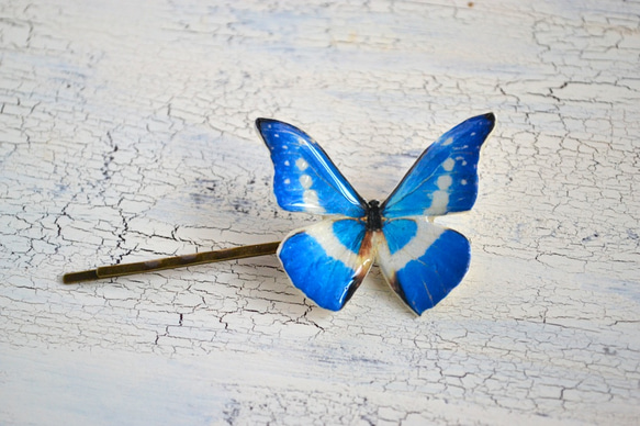 小さな森に住む蝶のヘアピン　白×ブルー 2枚目の画像