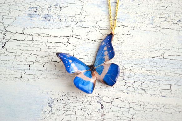 小さな森に住む蝶のネックレス　ブルー×白 1枚目の画像