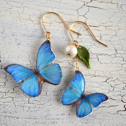 蝶とコットンパールのアシンメトリーピアス　ブルー 1枚目の画像