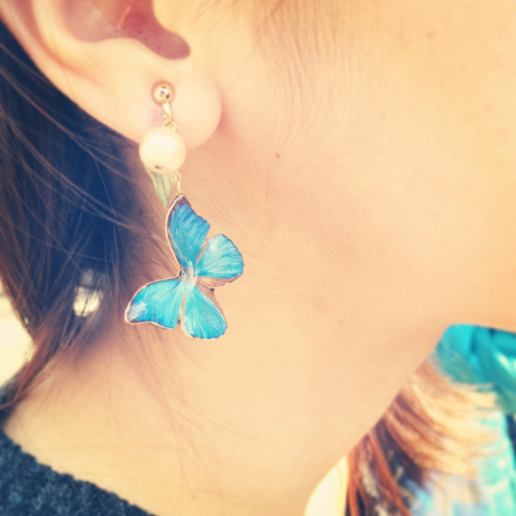 蝶とコットンパールのアシンメトリーピアス　ブルー 3枚目の画像