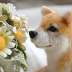 柴犬の羊毛ぬいぐるみ 2枚目の画像