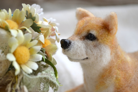 柴犬の羊毛ぬいぐるみ 2枚目の画像