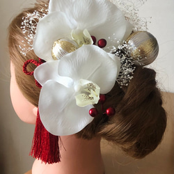 胡蝶蘭の髪飾り ヘッドドレス　ヘアアクセサリー　ウエディング　ブライダル　結婚式　成人式　卒業式　前撮り　白無垢　色打掛 1枚目の画像