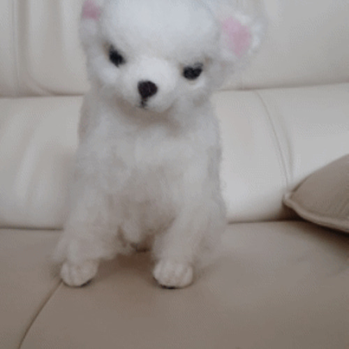 白チワワ 羊毛フェルト コウタ 通販 12619655｜Creema(クリーマ)