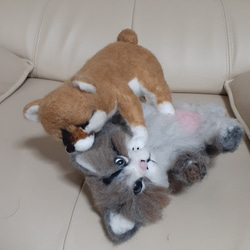 羊毛フェルト、じゃれる子猫と柴犬の子犬 3枚目の画像