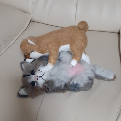 羊毛フェルト、じゃれる子猫と柴犬の子犬 4枚目の画像