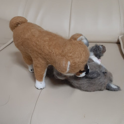 羊毛フェルト、じゃれる子猫と柴犬の子犬 5枚目の画像