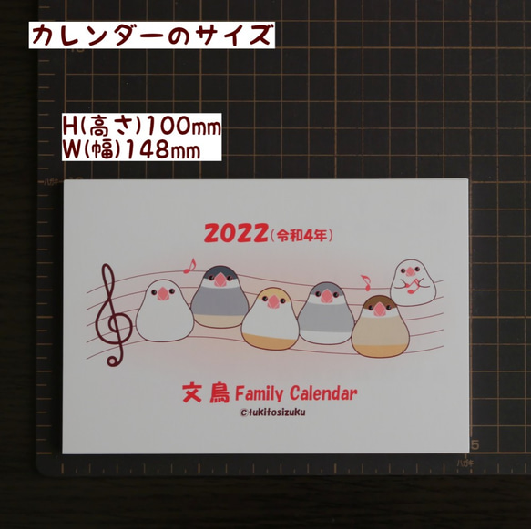 2022年 文鳥Family Calendar（はがきサイズ） 9枚目の画像