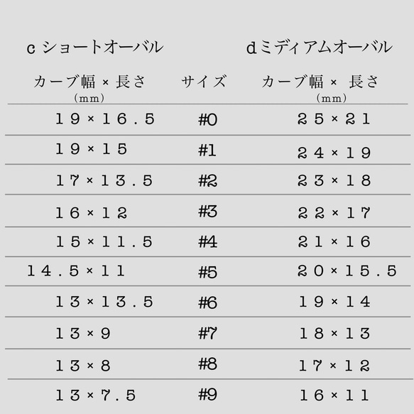 グラデーションネイル　ウェディング　シェルネイル　付け爪　ネイルチップ　10本セット 4枚目の画像