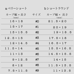 【再販】手描き　和柄ネイル　水引きネイル　和装/成人式ネイル/卒業式ネイル/結婚式/付け爪/ネイルチップ　10本セット 4枚目の画像