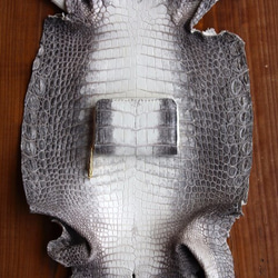 Himalayan Crocodyl Coin Case 尾鱷魚皮皮革 第1張的照片