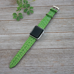 限一個！ [Apple Watch 錶帶] Hen Lawn Shiny Croco Green 38mm Apple Watc 第2張的照片