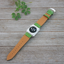 限一個！ [Apple Watch 錶帶] Hen Lawn Shiny Croco Green 38mm Apple Watc 第3張的照片