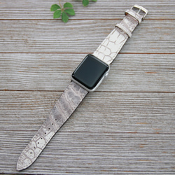 僅限一種產品！ [Apple Watch錶帶] Henroan喜馬拉雅鱷魚皮42毫米（Apple Watch）皮革皮帶 第2張的照片