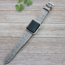 限一件作品！ [Apple Watch Band] Hen Lawn Shiny Croco Grey 42mm Apple W 第2張的照片