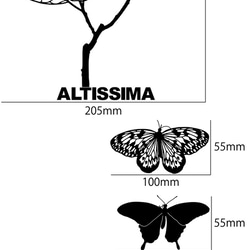 ウォールステッカー　観葉植物　アルテシマ 3枚目の画像
