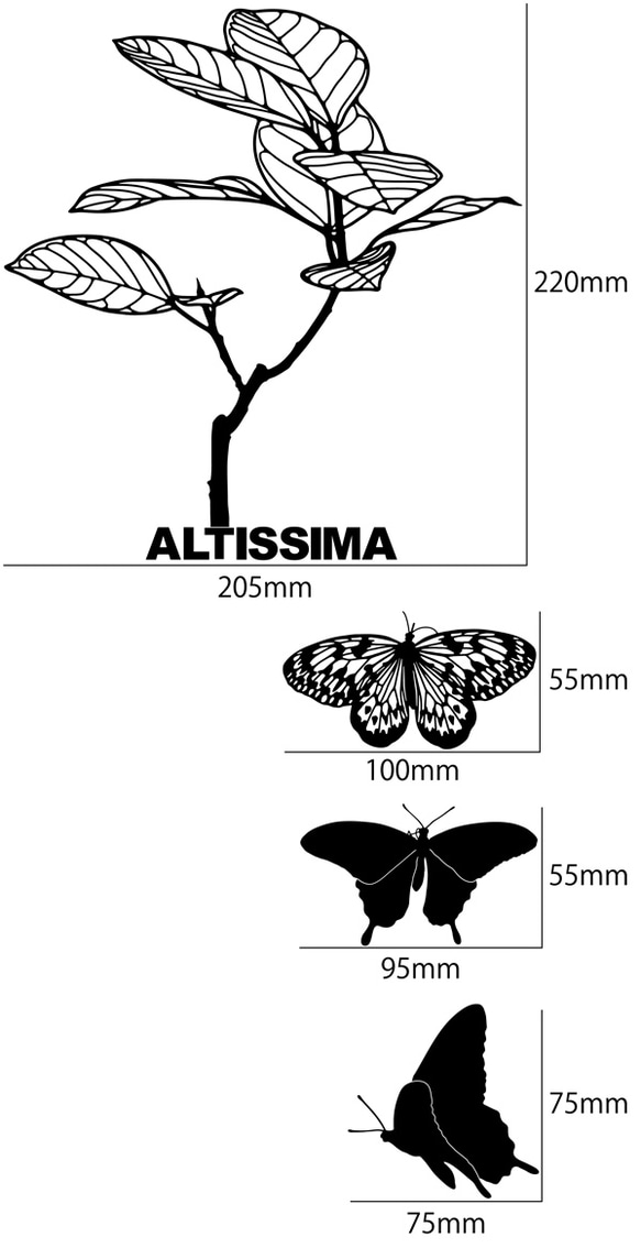 ウォールステッカー　観葉植物　アルテシマ 3枚目の画像