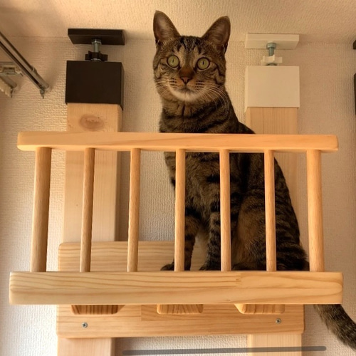 （訳ありセール 格安） フェンス付きステップ キャットウォーク その他家具 キャティ その他