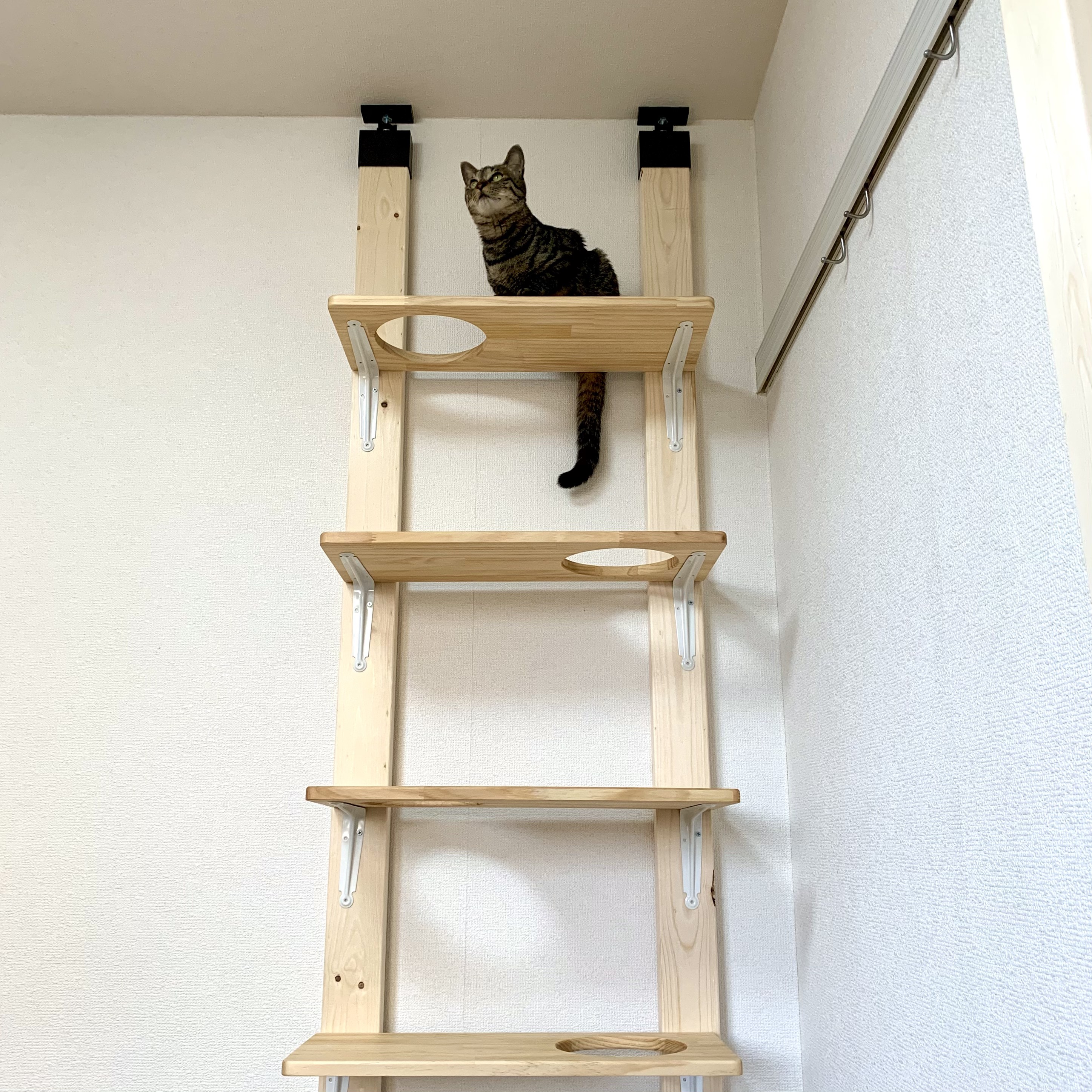 キャットステップ　柵付き　ハンドメイド